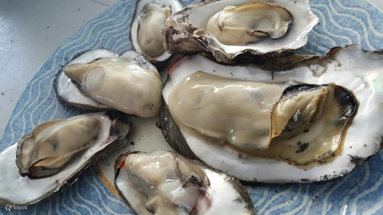 Tainan Jiangjun Fischereihafen